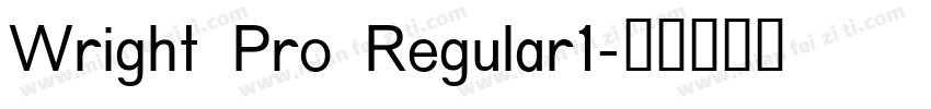 Wright Pro Regular1字体转换